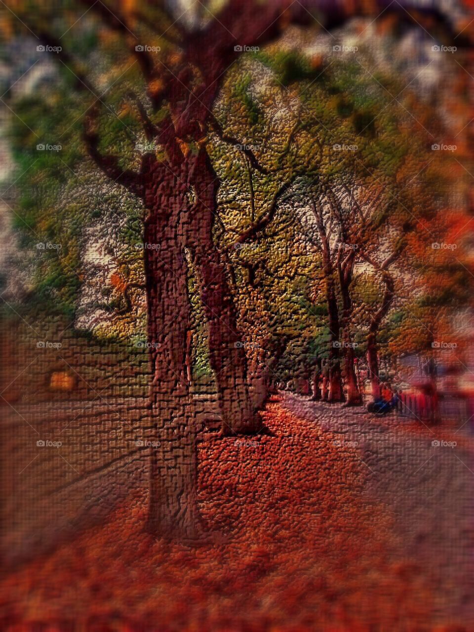 Autumn Colors Landscape 