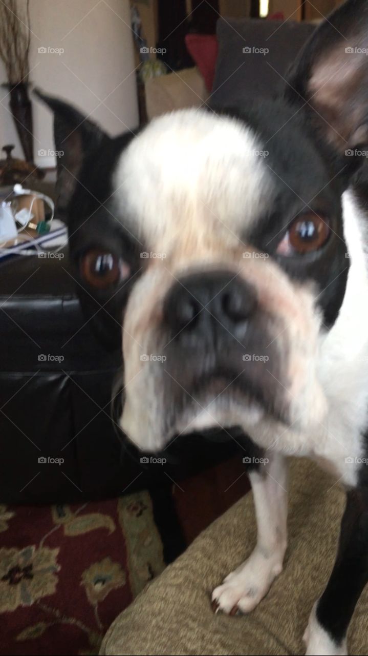 Hey! What are you taking pictures of?!?