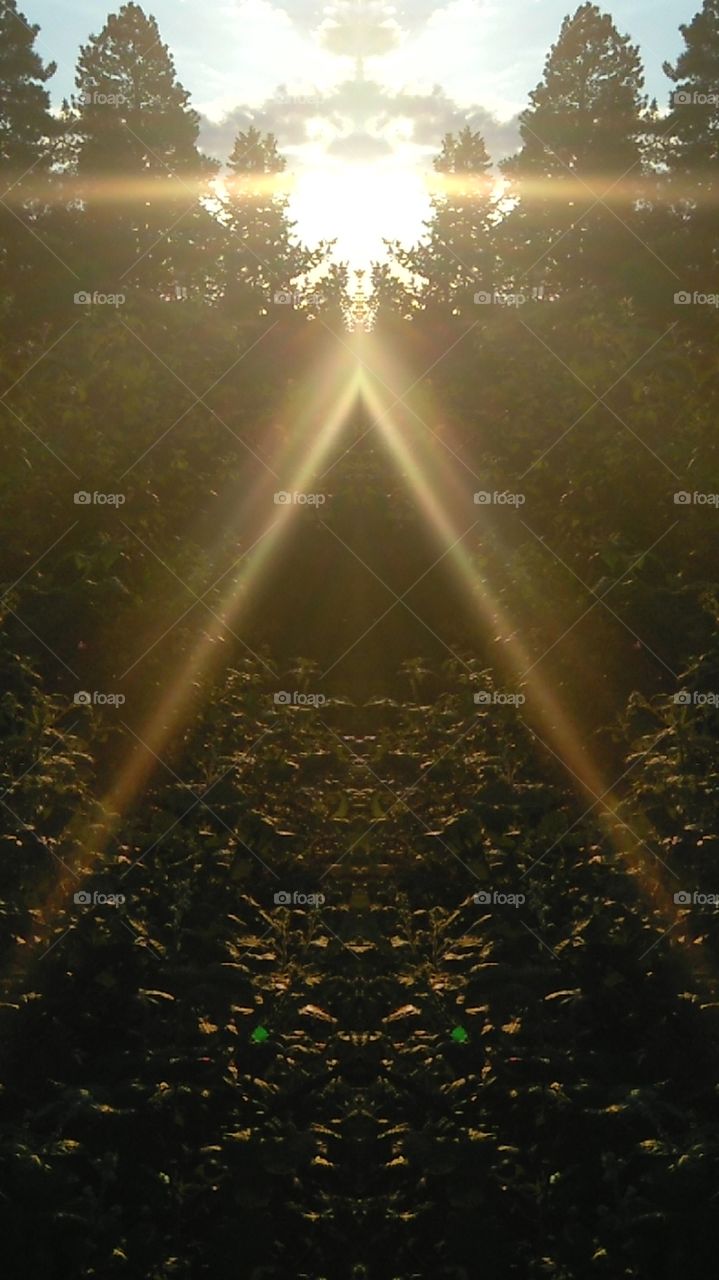 Triangle Of Every Light