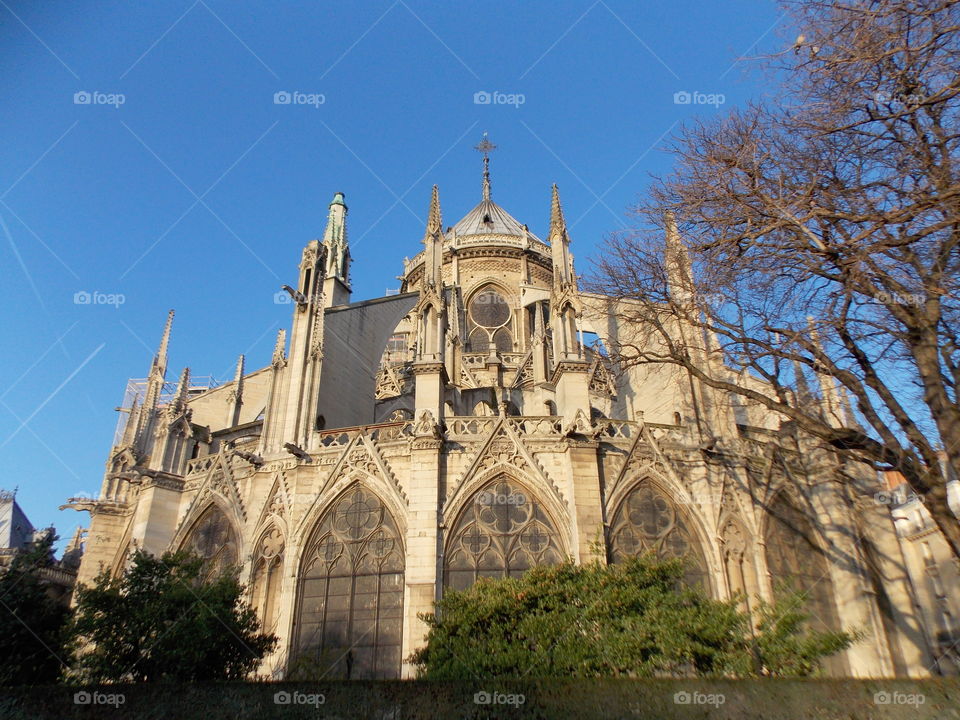 Notre Dame