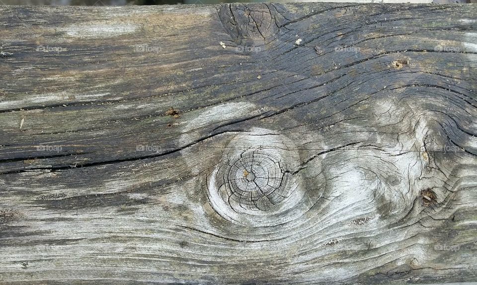 Old wood knot