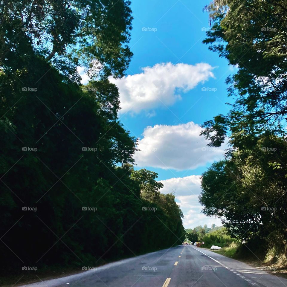 Na estrada de Campo Limpo Paulista, um trecho com muita natureza viva!
Olhe lá no fundo as nuvens dando uma espiadinha entre as árvores…
📸 