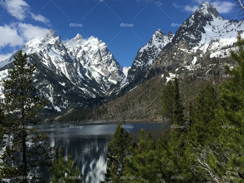 Grand Teton 