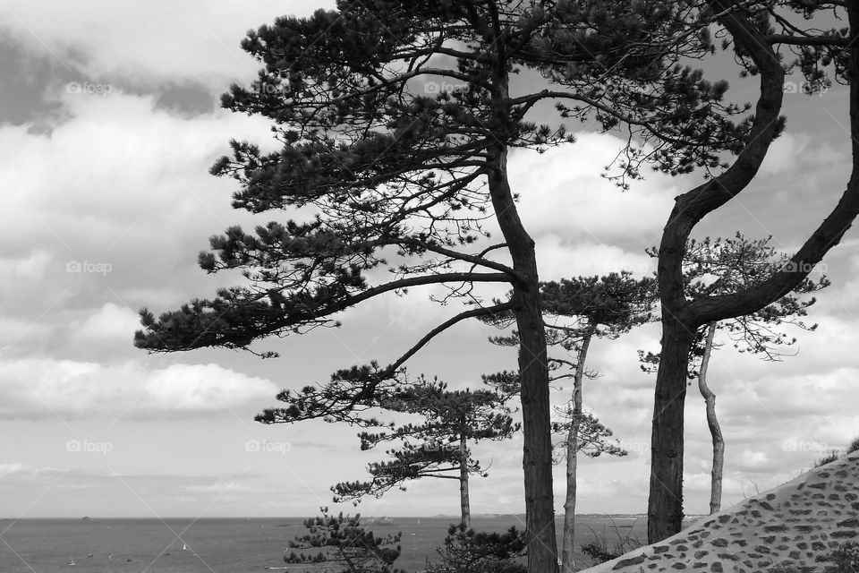 Coastal view BnW and declining wall