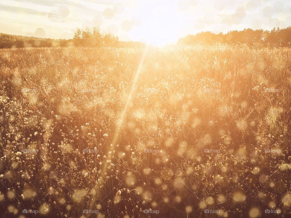 autumnal sunset