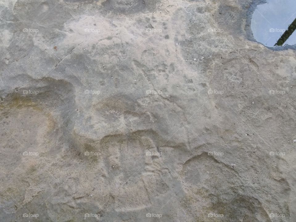 petroglyphs, North America, thunderbird