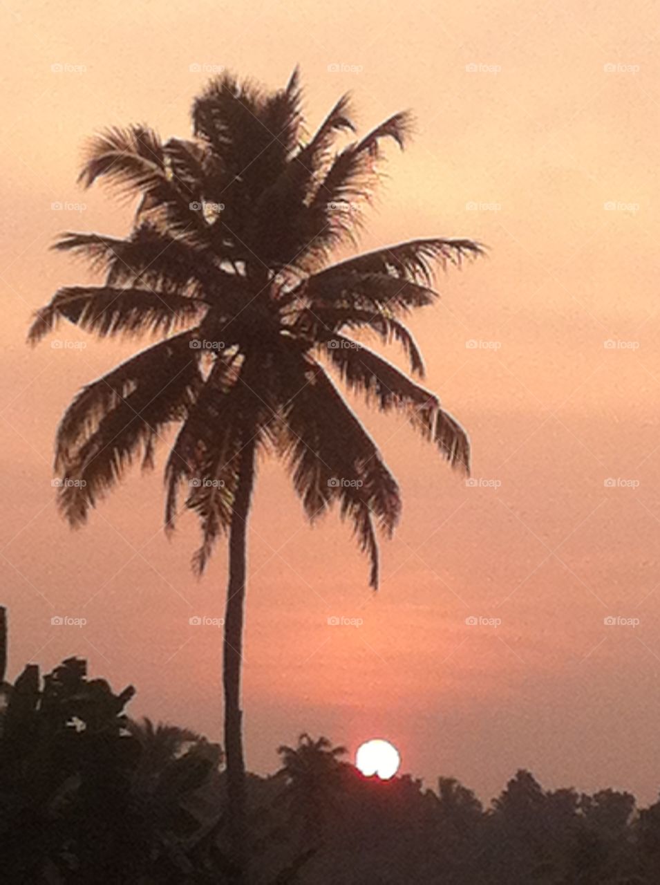 sunset in the backwaters