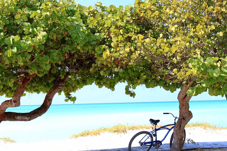 Bahamas blue. Tranquil