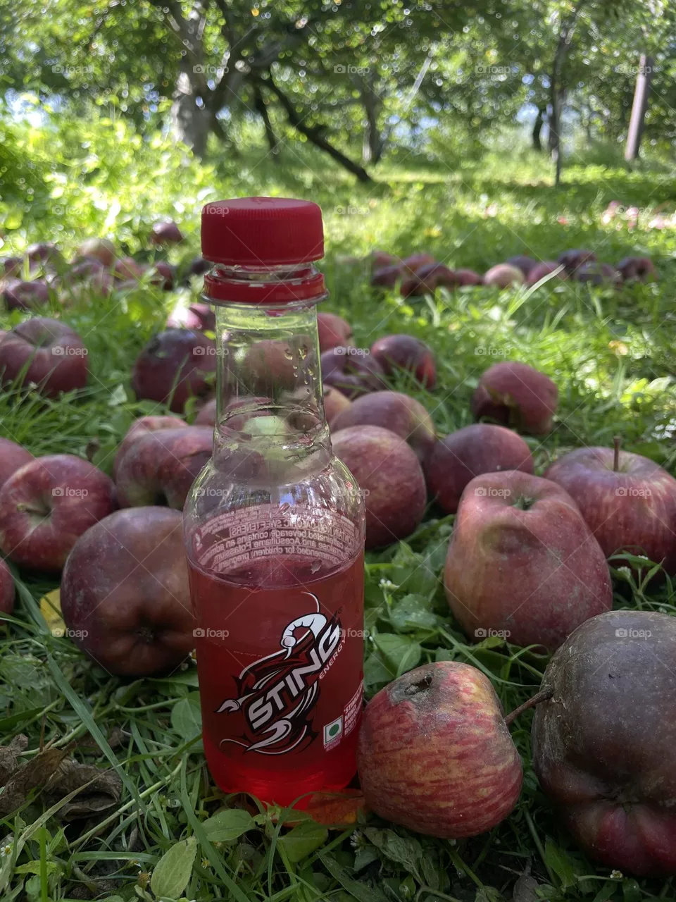 Apple and drink 