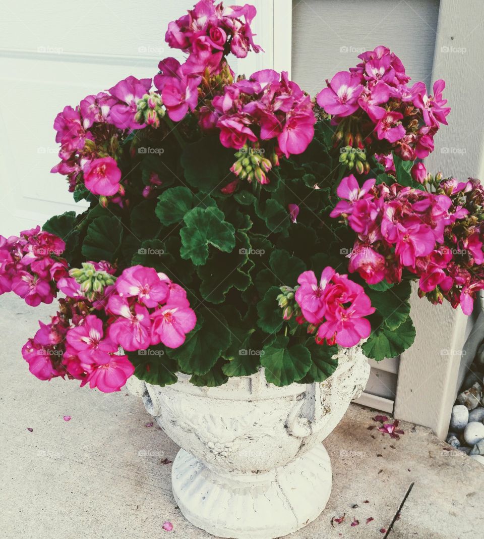 Beautiful flower arrangement