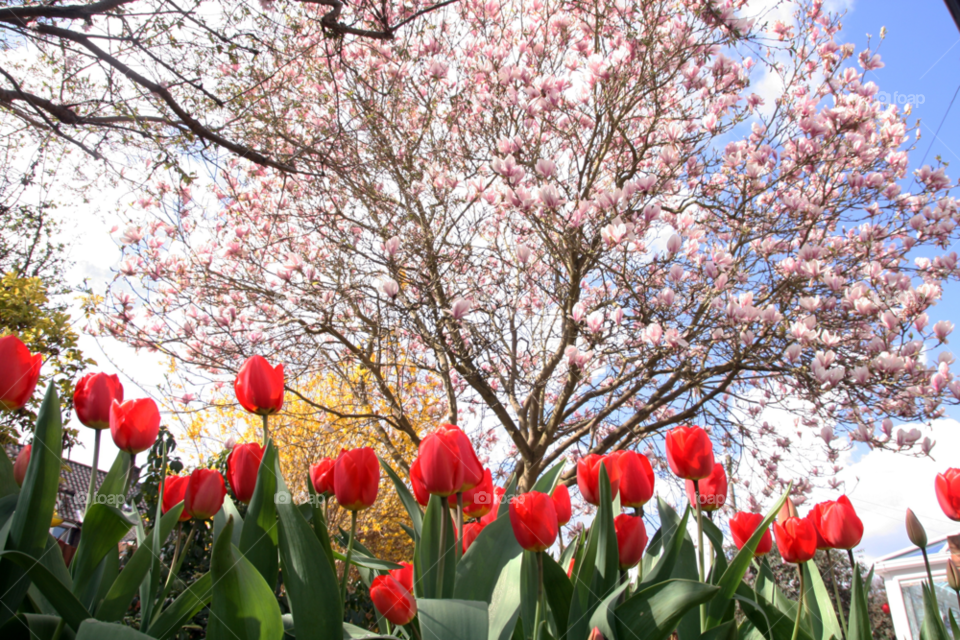 happy red summer sun by cheesepuff5000