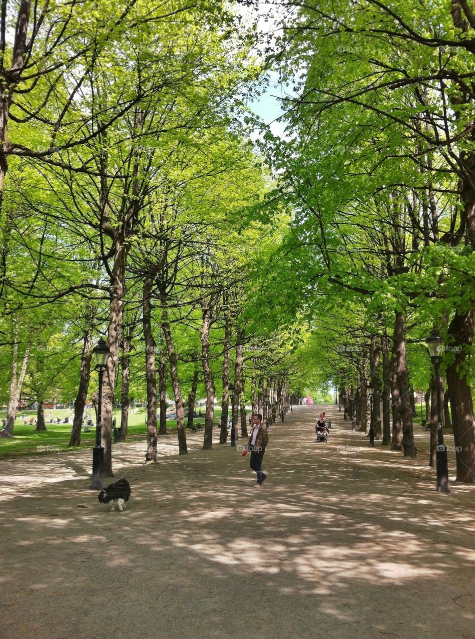 spring nature humlegården stockholm by miss_falcon