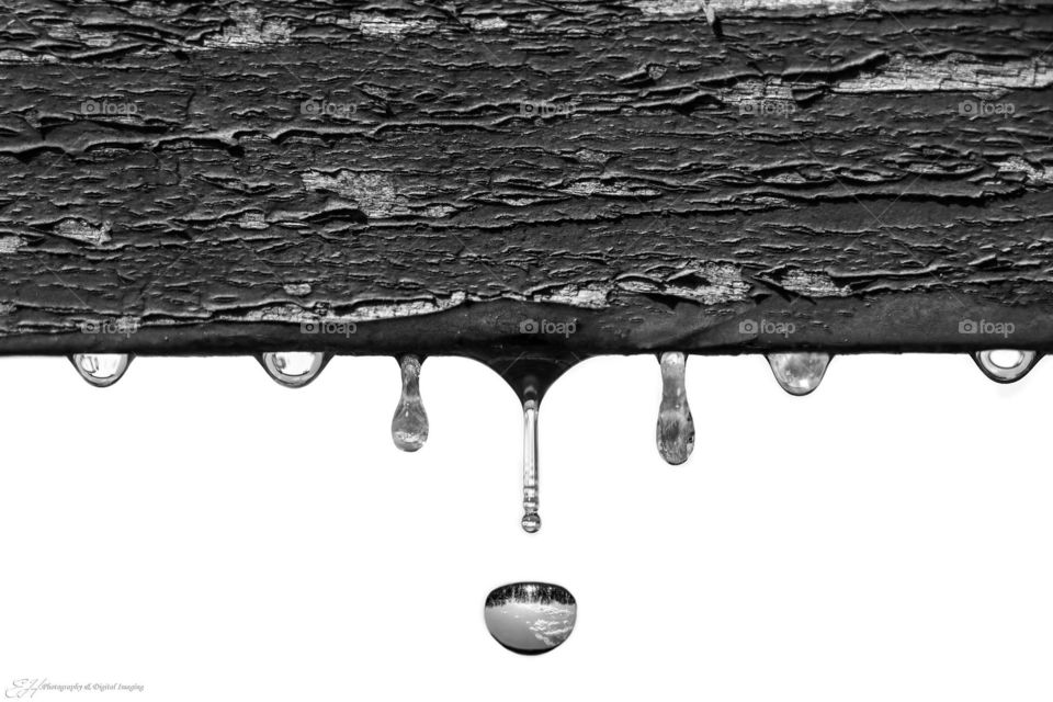 Life Hanging By A Drop. 