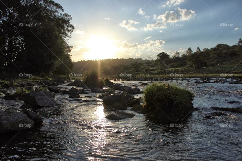 sunset in the river