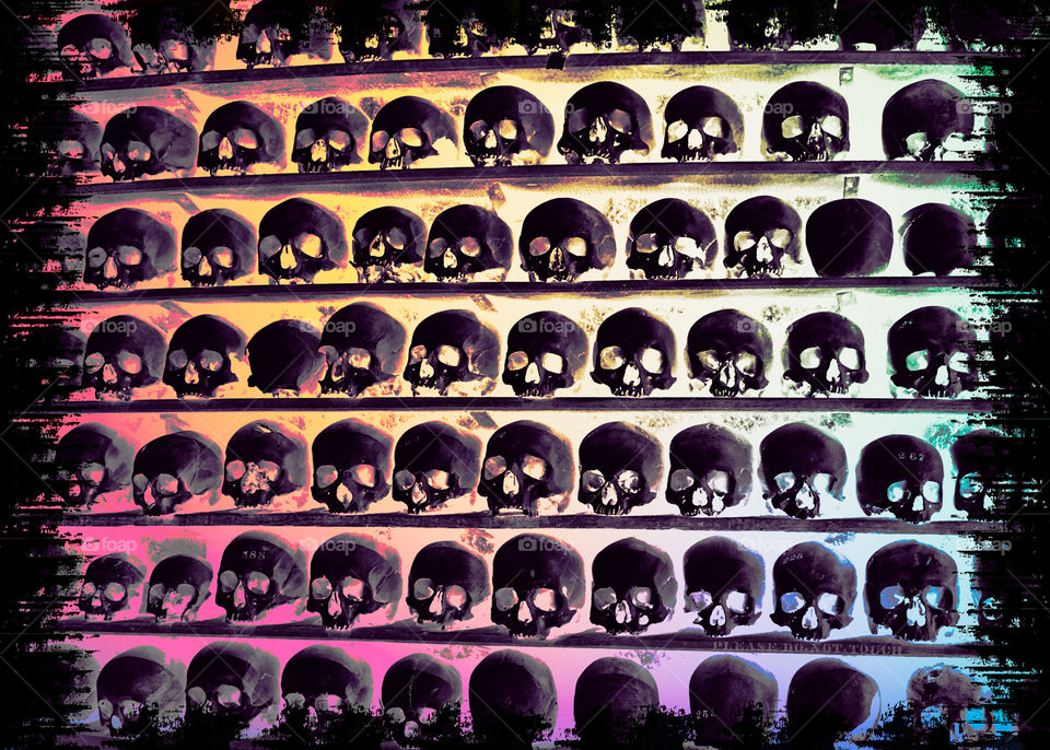 Rows of skulls on shelves, inverted with lurid colours