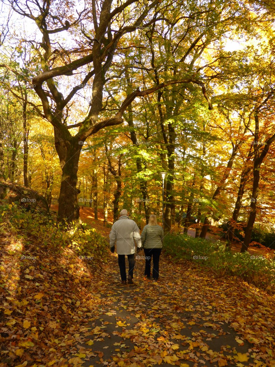 walking in Slottskogen in Gothenburg