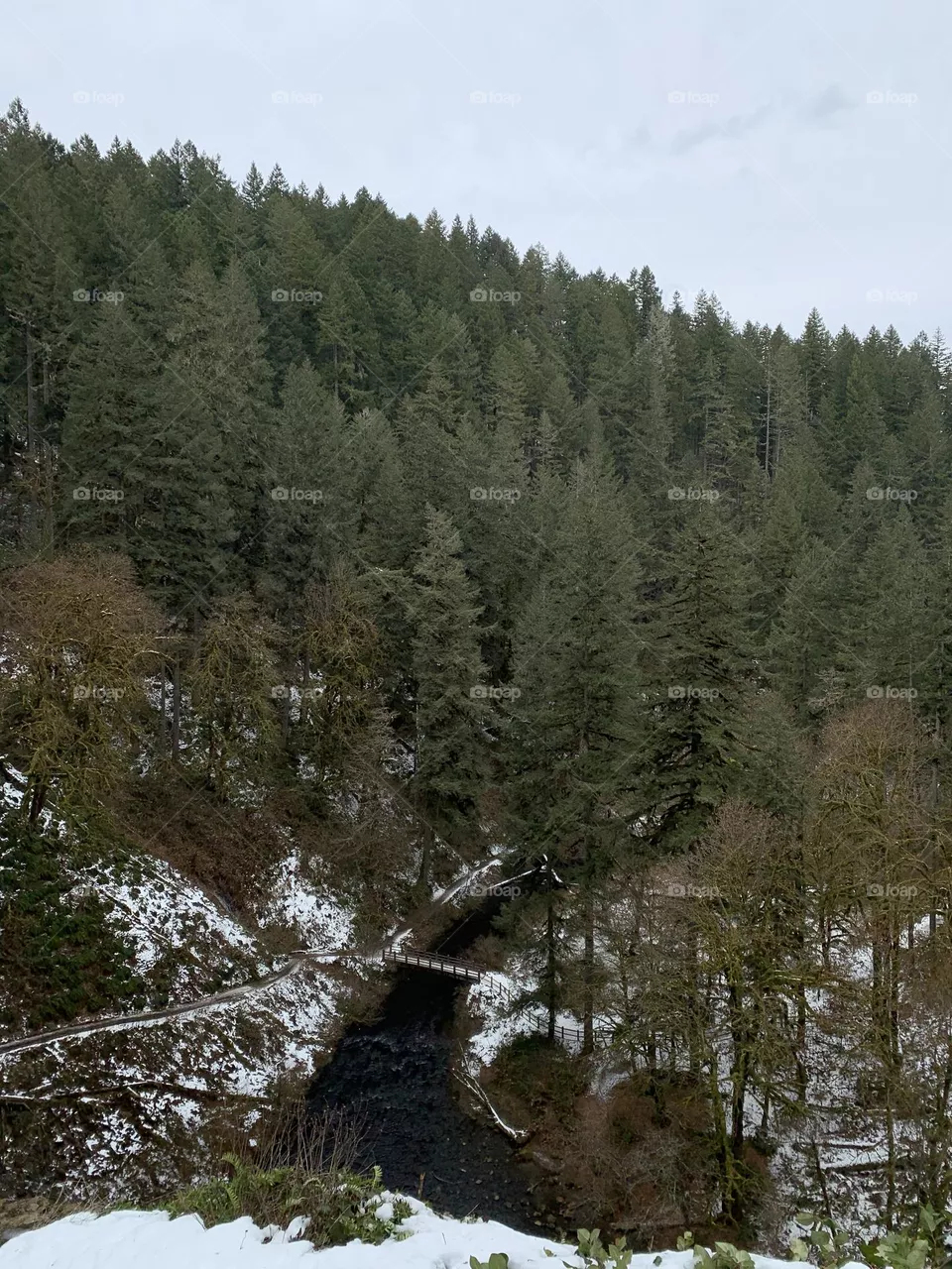 Viewpoint of bridge 
