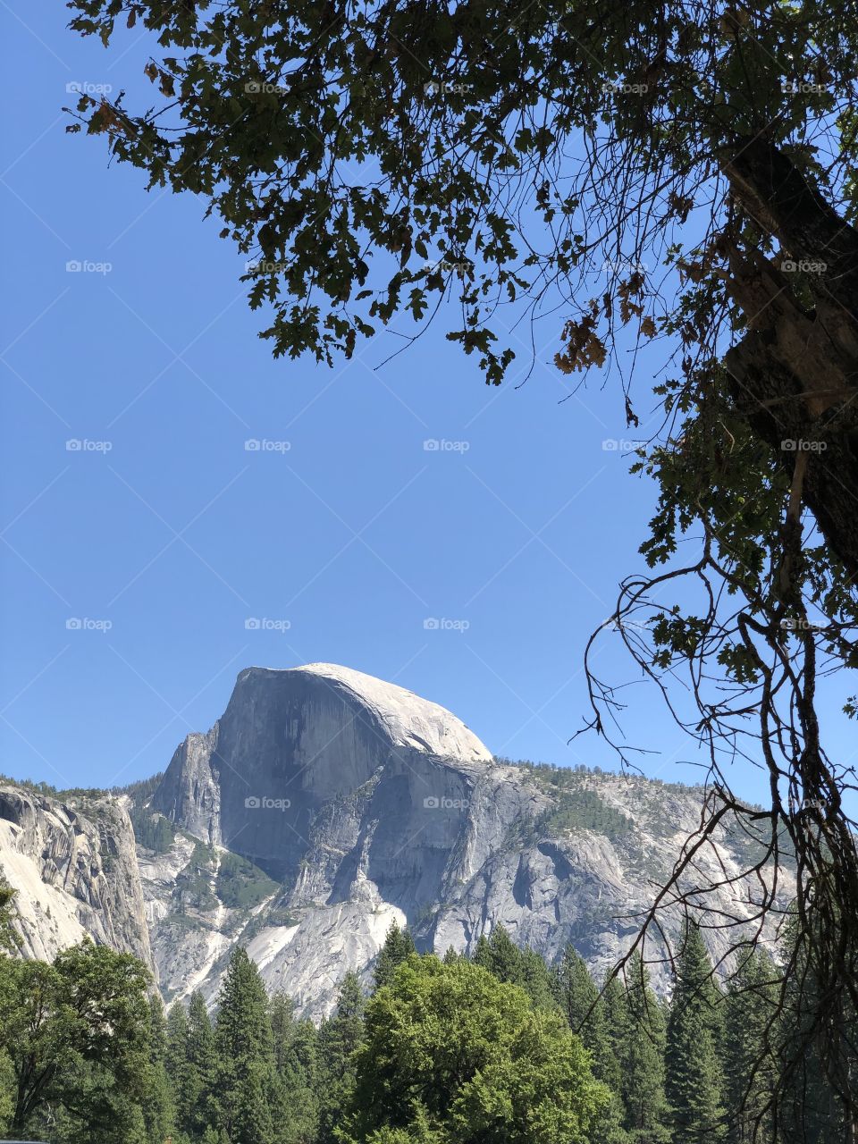 Half Dome