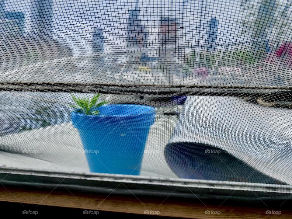 Looking through the front window of „Salvation“, our 28 foot long motorboat we see a flower pot left behind by a deceased palm tree from which new life is sprouting, a symbol of hope. 2023. Hypnotic Productions