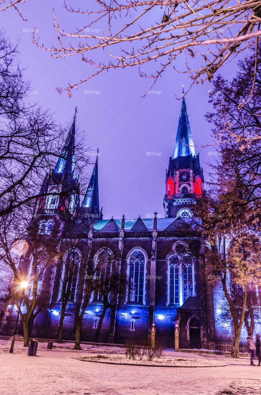 St. Olga and Elizabeth cathedral in Lviv city