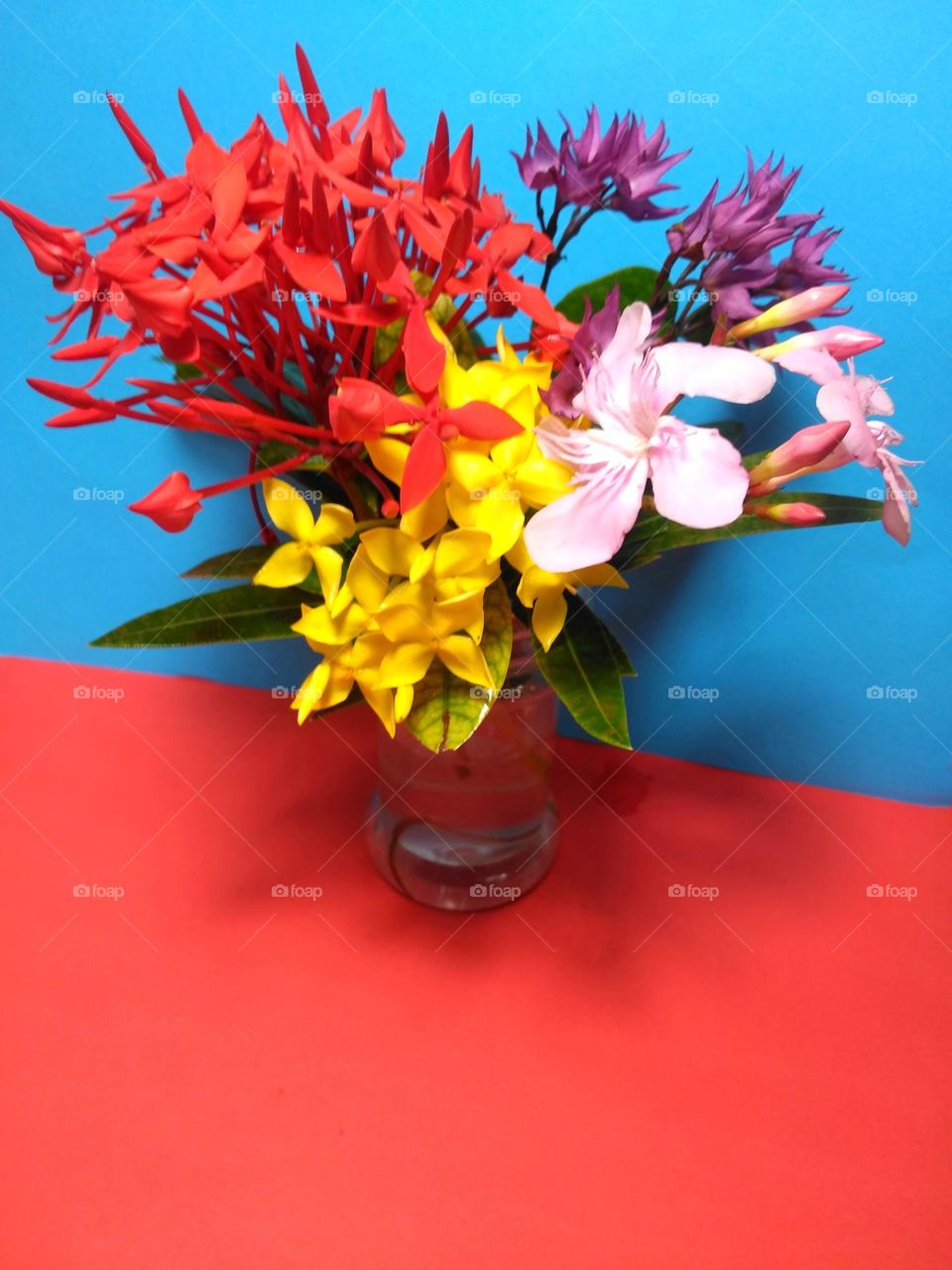 Beautiful colored flowers on vase