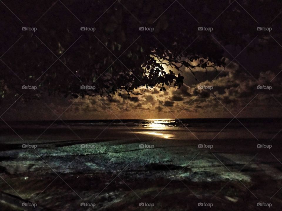 A lua iluminando a noite.