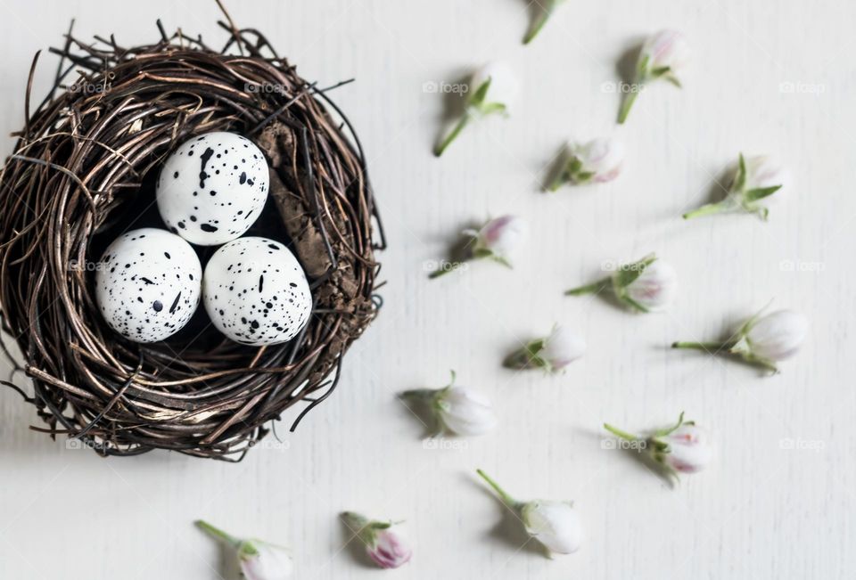 A nest with speckled eggs with small blossom buds