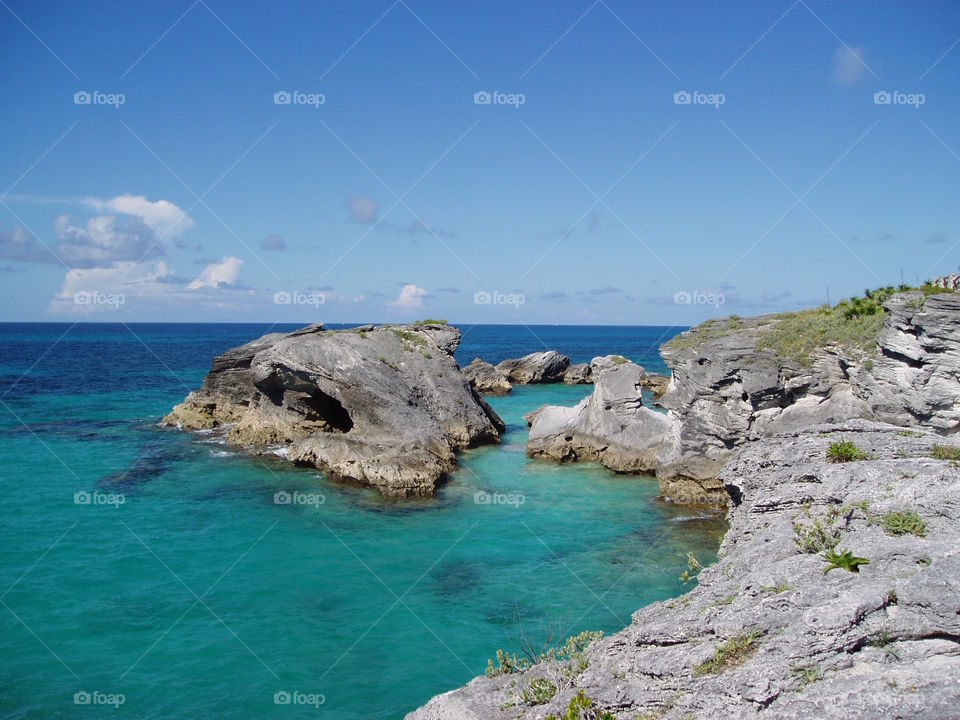 Coral Cliffs in Bermuda