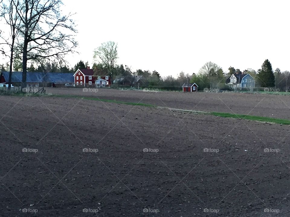 Race, Competition, Road, Track, Landscape