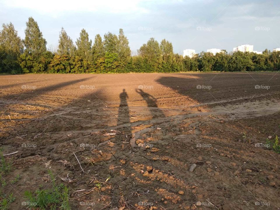 Тени на поле