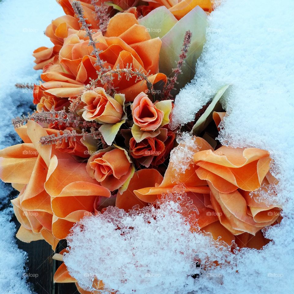 Flowers on Ice