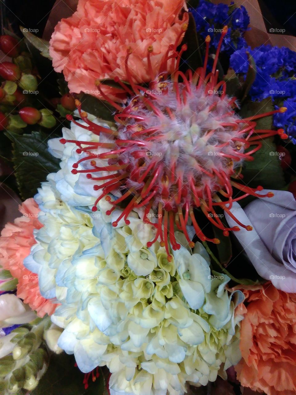bouquet of color