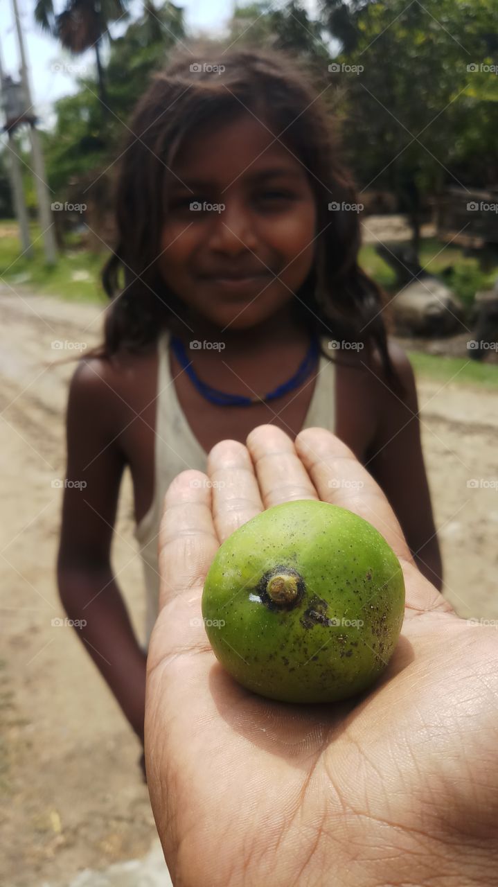 mango on the palm