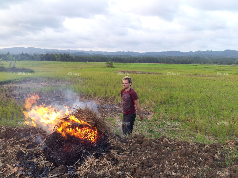 Cropland, Landscape, Agriculture, Pasture, Crop