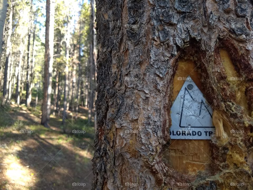 old Colorado Trail marker