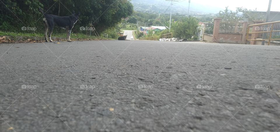 only you hit the road when you missing home!