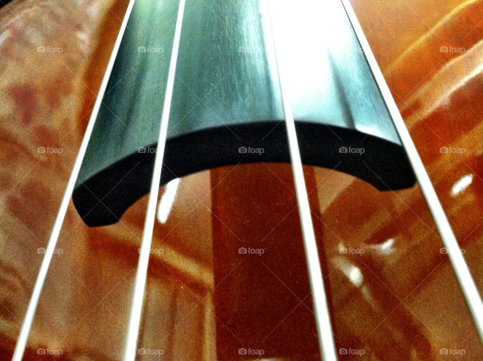 wood bass strings neck by wmm1969