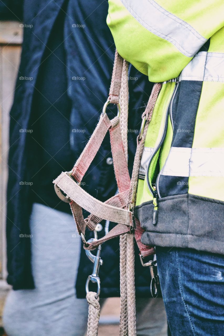 A person holding a halter 