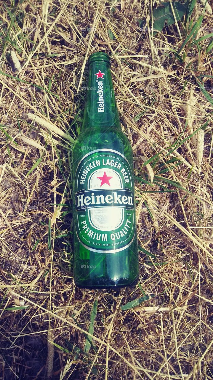 Heineken. Pivo