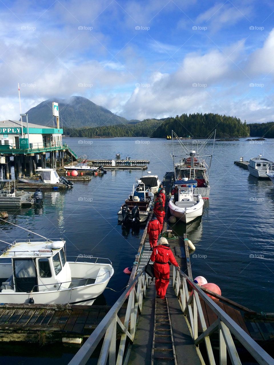 Whale watching tour is considered a must while visiting Tofino, however, it is also known for Pacific Rim Nature serve and a top surfing spot in the world, with many travelers visiting just for these reasons. 