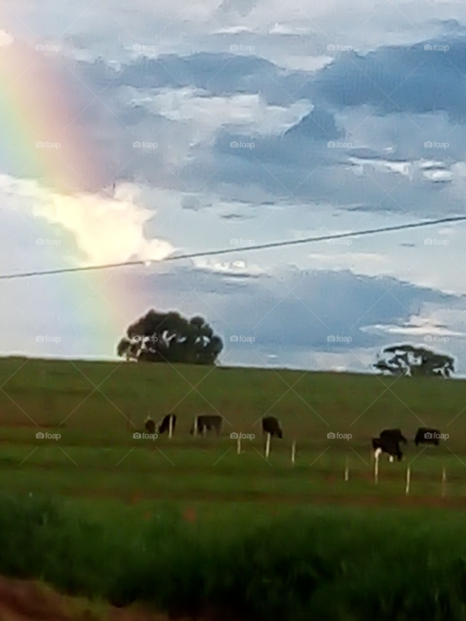 arco íris no campo