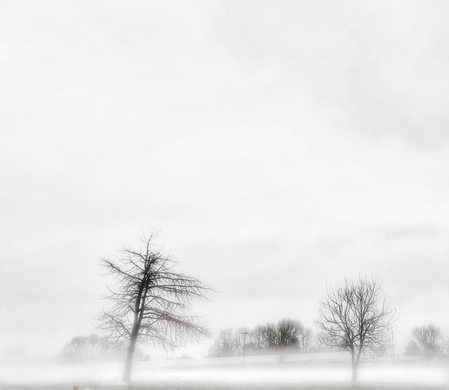 winter