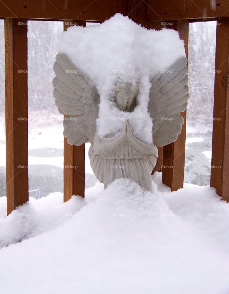 Angel in the snow