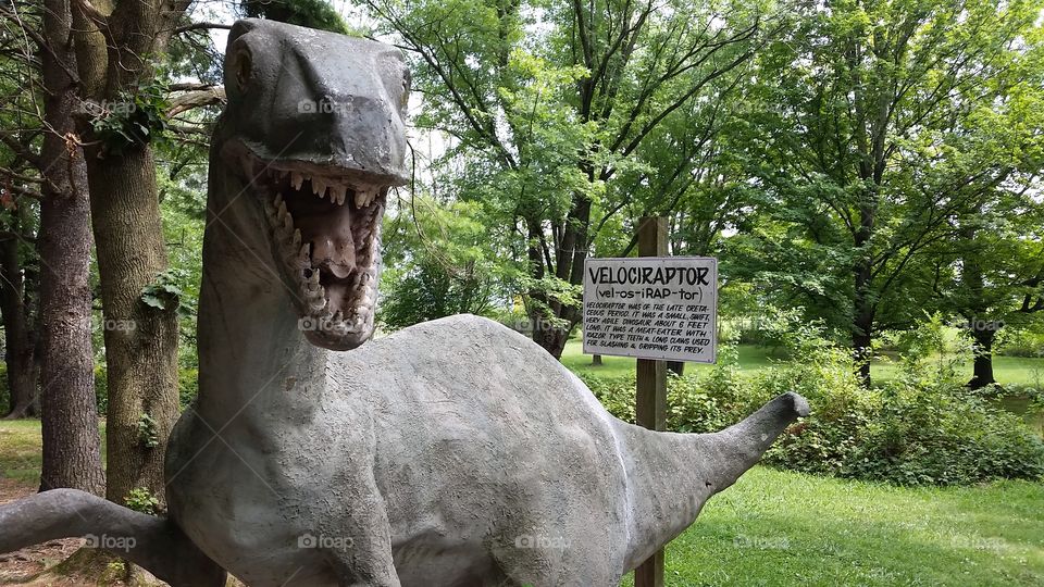 Velociraptor