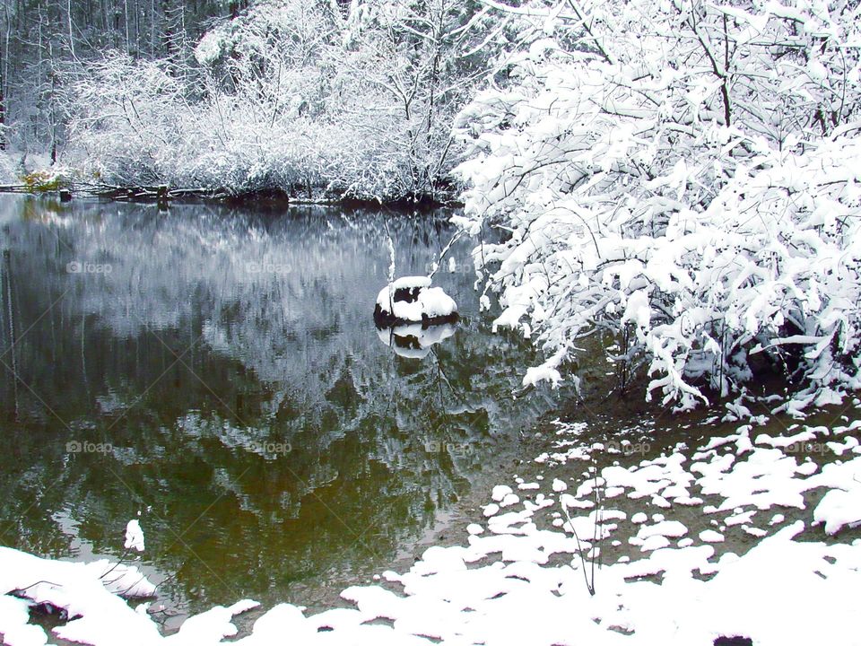 snow water reflections