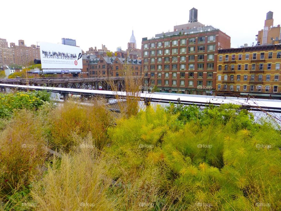 NEW YORK CITY HIGH LINE PARK VIEW OF CHELSEA DISTRICT