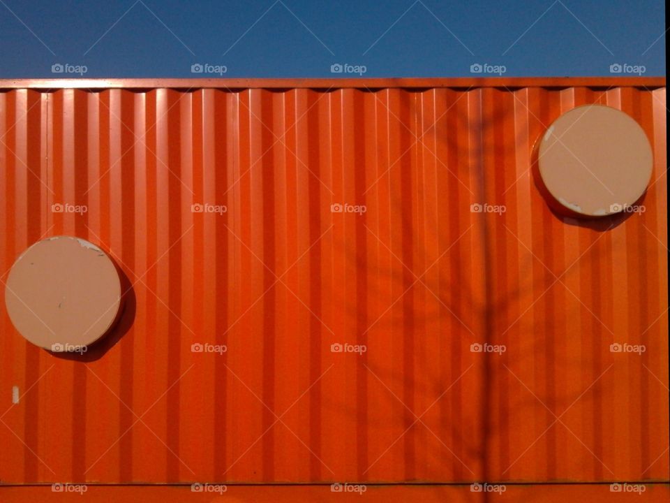 Tree shadow reflection