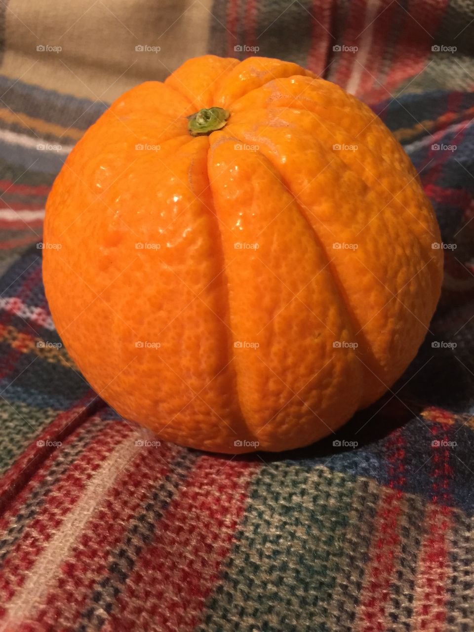 Naranja que queria ser calabaza.