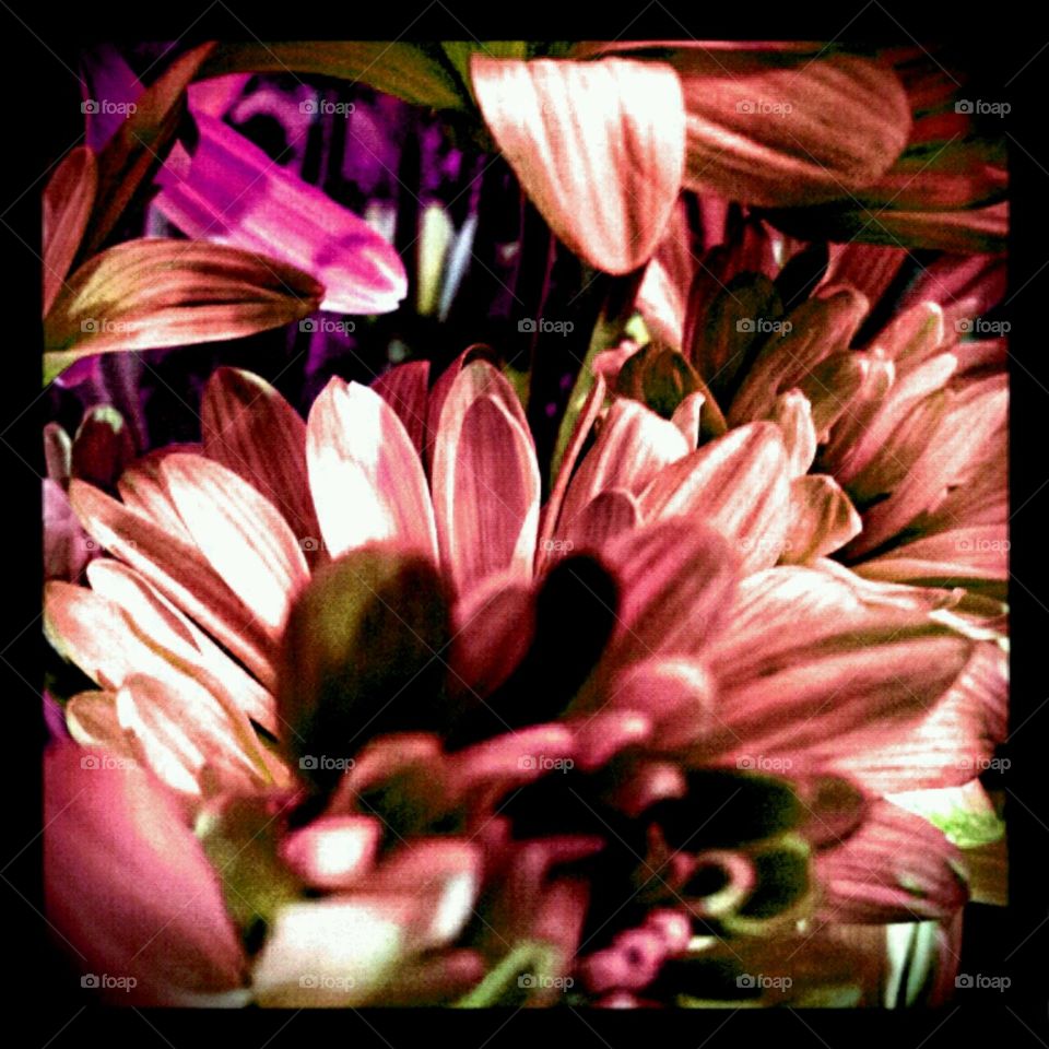 gentle hands. lighting effects