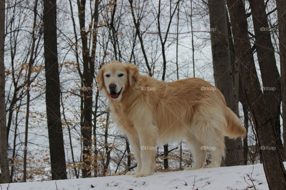 taking a break to pose for mom